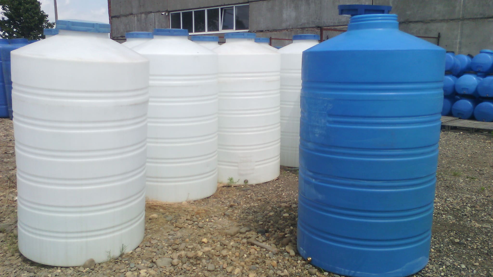 ������ ������������ ����� �� 1 ���